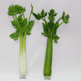 Artificial Vegetable, Imitative PVC Celery