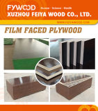 Special Waterproof Design Film Faced Plywood (12mm/15mm/18mm)