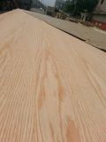 Red Oak Faced Plywood