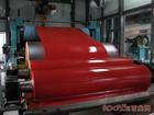 Steel Coil (2)