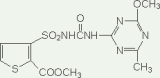 Thifensulfuron-Methyl (95%TC, 15%, 25%WP, 75%WG, 75%DF)