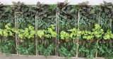 High Quality Artificial Plants and Flowers of Green Wall Gu-Wall0977800001232