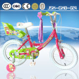King Cycle Kids Indoor Bike for Girl Direct From Topest Factory