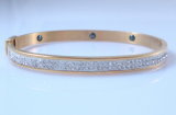 2012 Hot Stainless Steel Bangles (HBNB00019)