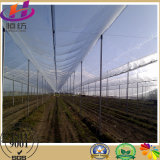 Plastic Fabric Net Anti Hail for Agriculture
