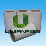 Semi Glossy Self-Adhesive Paper (UP-030)