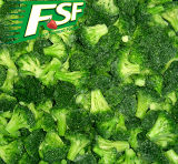 Healthy Frozen Broccoli