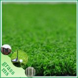PP Golf Sport Synthetic Grass (SGQD-C12R29PM)