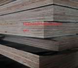 Full Hardwood Core F17 Formply Concrete Plywood for Austrial Market