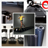 Good Quality Physical Use Fitness Belt