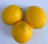 Artificial Fruit Lemon for Decoration