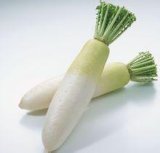 Export Healthy Food Fresh Vegetable White Radish