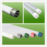 22W T8 Tube Light From China