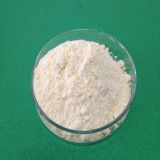 Factory Direct Supplying Top Quality New Arrival Powder Citric Acid CAS Number: 77-92-9 Food Additives