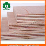 Standard Size Best Quality Reasonable Price Commercial Plywood 18mm