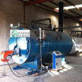Gas Boiler of Lahoo New Energy