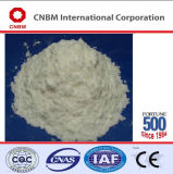 Hydroxypropyl Methyl Cellulose (HPMC) -Plaster (Gypsum Based)