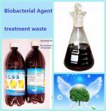 . Algae Biobacterial Used for Treatment of Waste