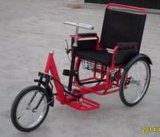 Self-Driven Tricycle (SS-1)