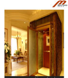 High Quality Home Lift with Glass Car Wall Elevator