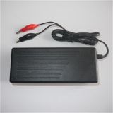 43.2V 2A LiFePO4 Battery Charger