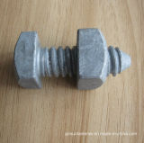 Square Head Bolt with Square Nut