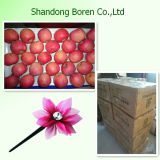 Fresh Bright Red FUJI Apple From Shandong