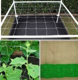 PP Plant Support Net Climbing Plant Support Netting