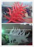 2015 Most Amazing Lighting Inflatable Star, Inflatable Tube for Party, Stage, Exhibition Decoration