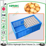 Egg Packing Plastic Collapsible Crate Egg Crate