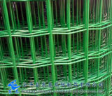 High Quality Plastic Coated Holland Wire Mesh