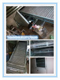 Belt Dryer: Food and Chemical Drying Machine