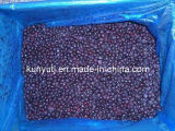 Frozen Blueberry with High Quality
