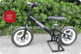 Hot Sale Promotion Products Lovely Baby Toys/Kids Bike (AKB-1210)