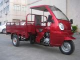 Cargo Tricycle (162FMJ-150)