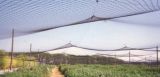 50X25mesh Anti-Insect Netting for Greenhouse and Garden