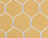 Galvanized Before Weaving Hexagonal Wire Netting (LY0086)