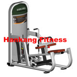 Gym and Gym Equipment, Body Building, Hammer Strength, Seated Calf Raise (HP-3024)