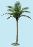 Artificial Plants and Flowers of Coco Palm 9m (GU-BJ-679-9M)