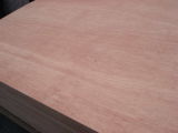 Commercialy Plywood