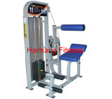 Fitness Equipment, , Body Building Eqiupment, Hammer Strength, Back Extension (PT-522)
