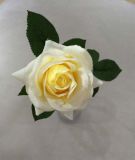 Artificial Silk Curve Edge Rose Flower for Decoration Wedding