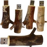 Ecology Wooden USB Disk