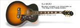 Acoustic Guitar Lcej-200