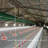 Equipment for Broiler Poultry House