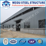 Low Cost Steel Warehouse Structure (WD102310)