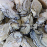 Superior Quality Individual Quick Frozen Oyster Meat for Food Additives