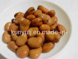 Canned Broad Beans with High Quality