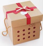 Togo Paper Box/Paper Boxes
