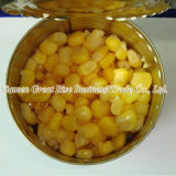 Price Moderate Cooking Canned Sweet Corn Recipes Suitable for Weight Loss